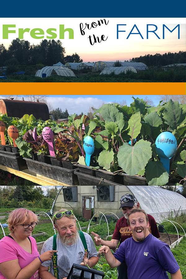 Subscribe to Fresh from the Farm